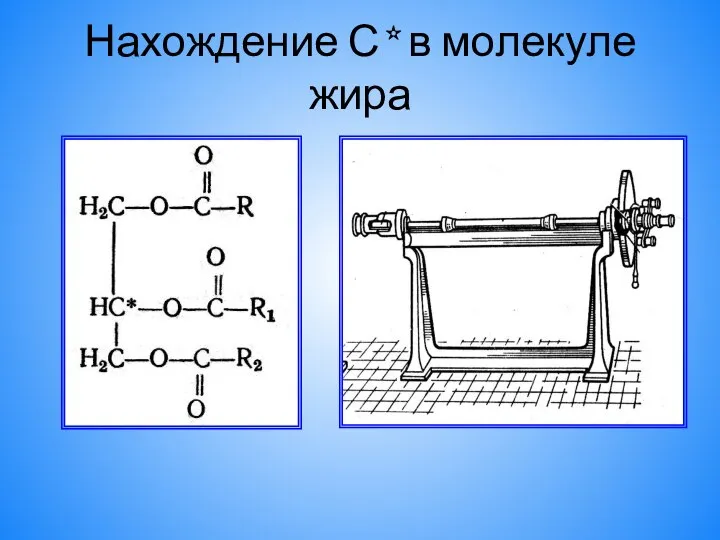 Нахождение С* в молекуле жира