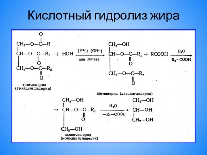 Кислотный гидролиз жира