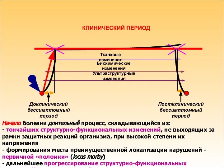 КЛИНИЧЕСКИЙ ПЕРИОД Тканевые изменения Ультраструктурные изменения Биохимические изменения Доклинический бессимптомный период