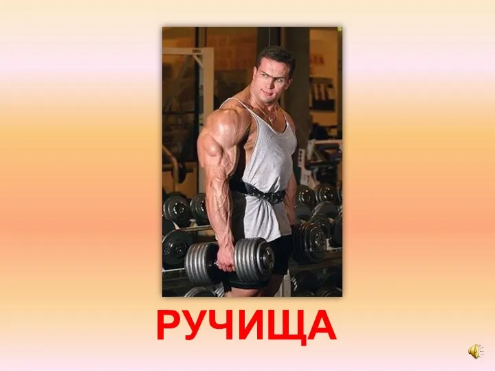 РУЧИЩА