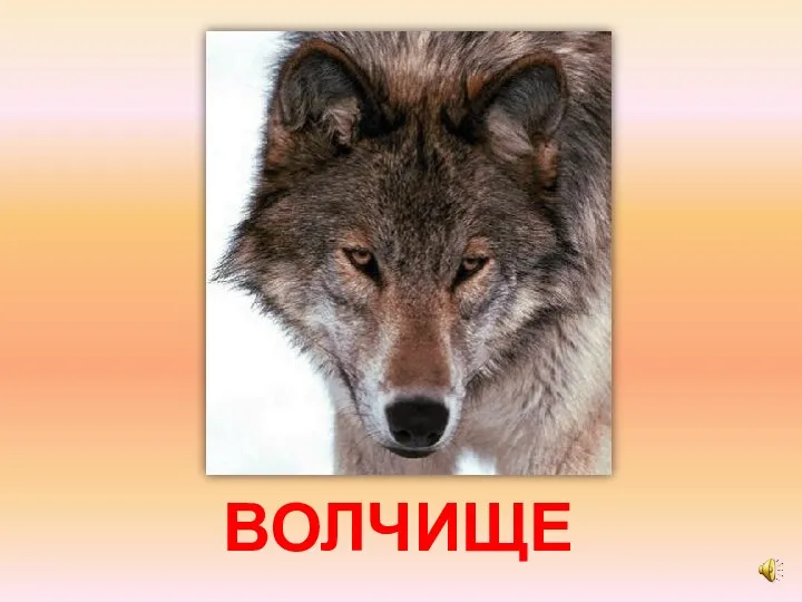 ВОЛЧИЩЕ