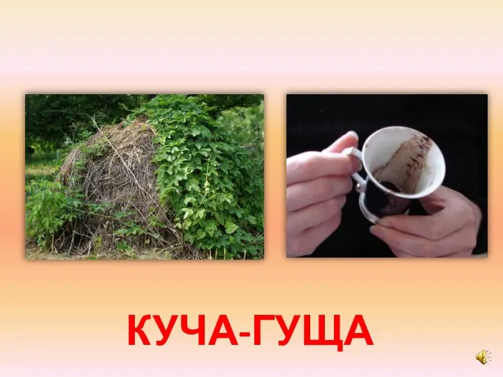 КУЧА-ГУЩА