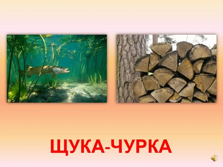 ЩУКА-ЧУРКА