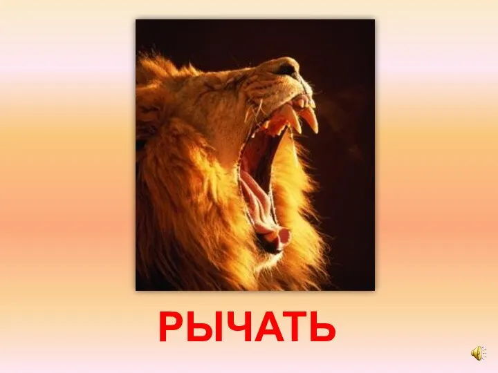 РЫЧАТЬ