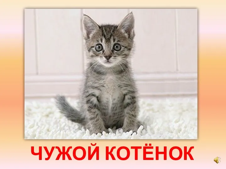 ЧУЖОЙ КОТЁНОК