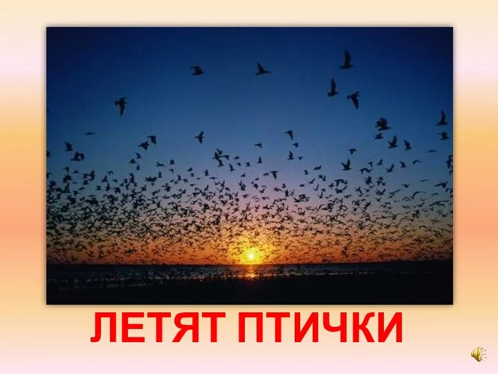 ЛЕТЯТ ПТИЧКИ