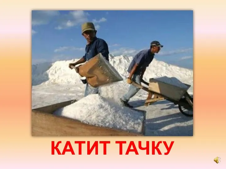 КАТИТ ТАЧКУ