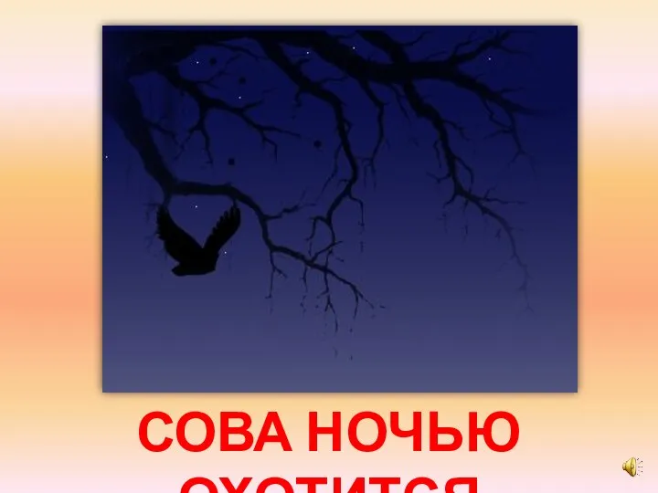 СОВА НОЧЬЮ ОХОТИТСЯ