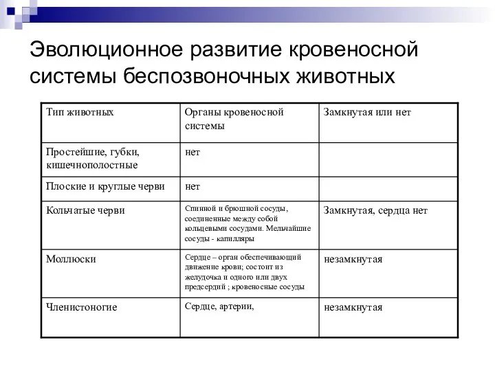 Эволюционное развитие кровеносной системы беспозвоночных животных