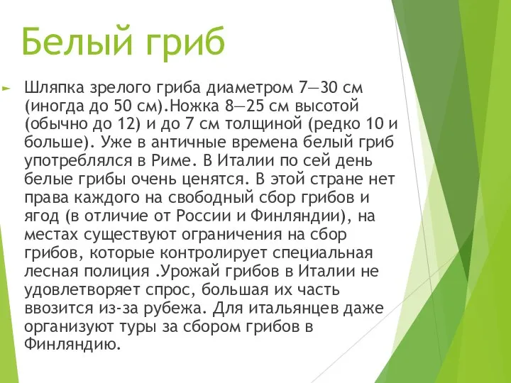 Белый гриб Шляпка зрелого гриба диаметром 7—30 см (иногда до 50