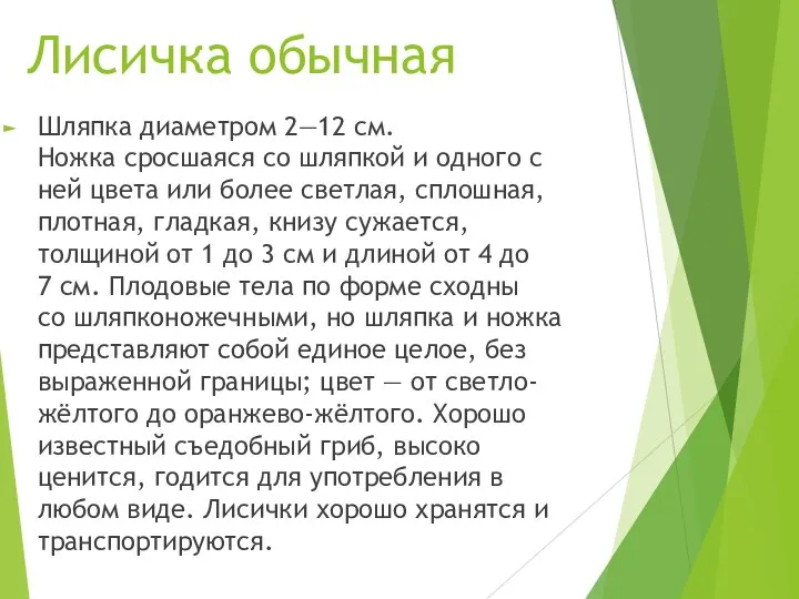 Лисичка обычная Шляпка диаметром 2—12 см.Ножка сросшаяся со шляпкой и одного