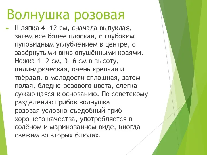 Волнушка розовая Шляпка 4—12 см, сначала выпуклая, затем всё более плоская,