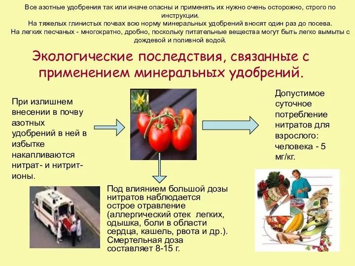 Экологические последствия, связанные с применением минеральных удобрений. Допустимое суточное потребление нитратов