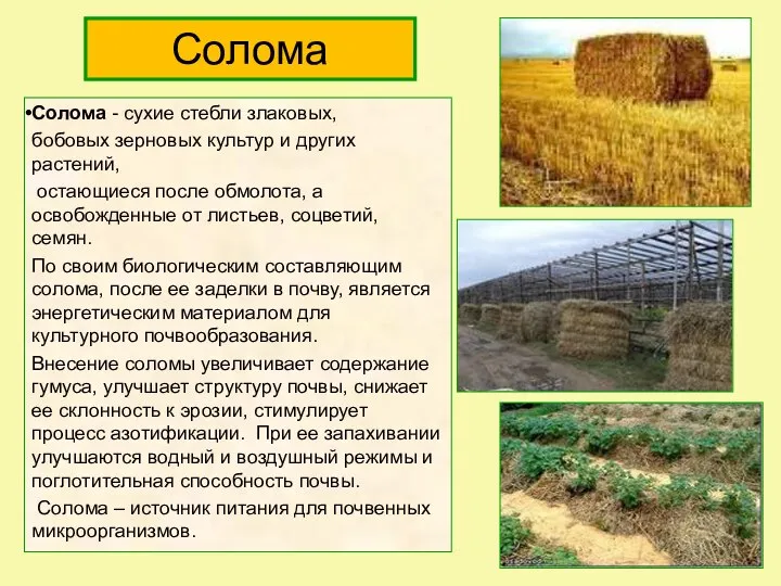 Солома Солома - сухие стебли злаковых, бобовых зерновых культур и других