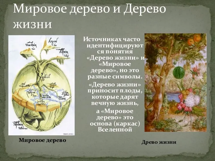 Источниках часто идентифицируются понятия «Дерево жизни» и «Мировое дерево», но это
