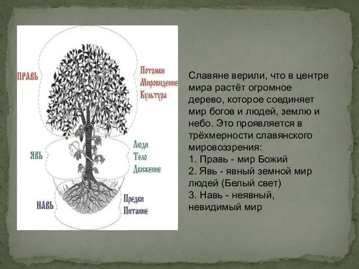 Славяне верили, что в центре мира растёт огромное дерево, которое соединяет