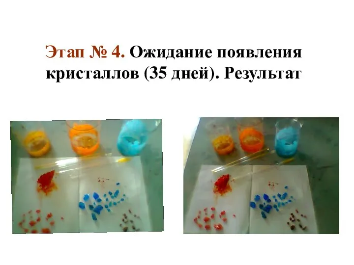 Этап № 4. Ожидание появления кристаллов (35 дней). Результат