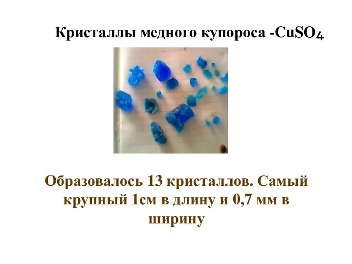 Кристаллы медного купороса -CuSO₄ Образовалось 13 кристаллов. Самый крупный 1см в
