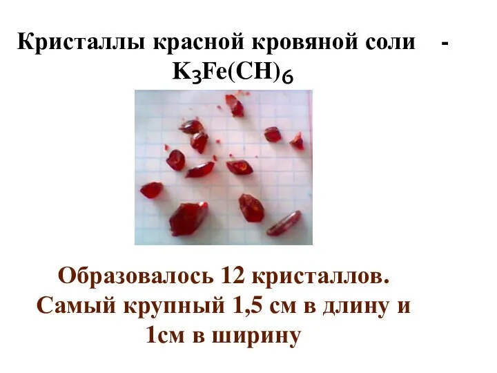 Кристаллы красной кровяной соли - K₃Fe(CH)₆ Образовалось 12 кристаллов. Самый крупный