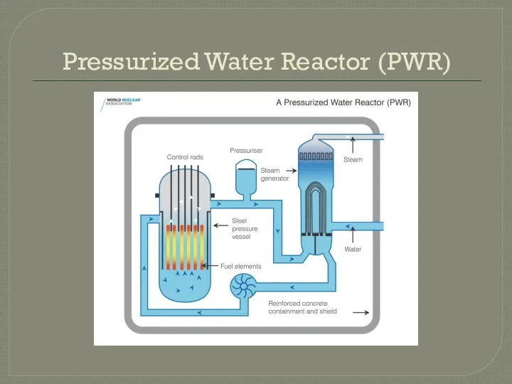 Pressurized Water Reactor (PWR)