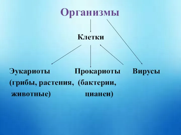 Организмы Клетки Эукариоты Прокариоты Вирусы (грибы, растения, (бактерии, животные) цианеи)