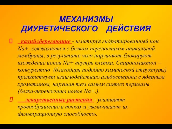 МЕХАНИЗМЫ ДИУРЕТИЧЕСКОГО ДЕЙСТВИЯ калийсберегающие - имитируя гидратированный ион Na+, связываются с