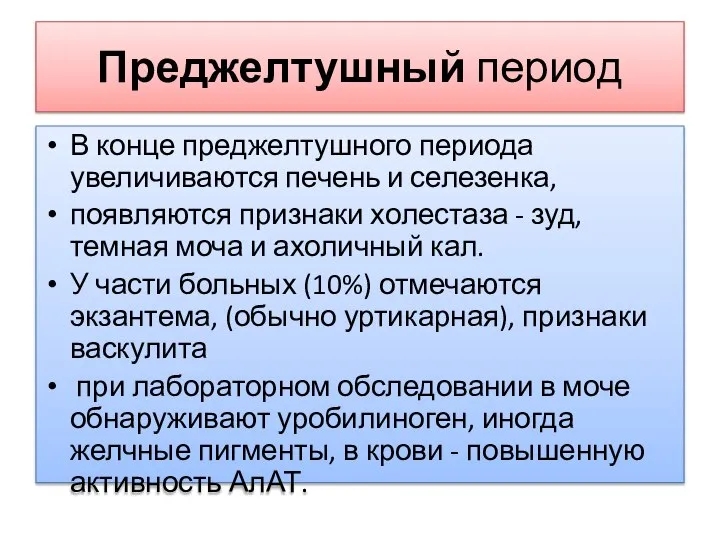 Преджелтушный период В конце преджелтушного периода увеличиваются печень и селезенка, появляются