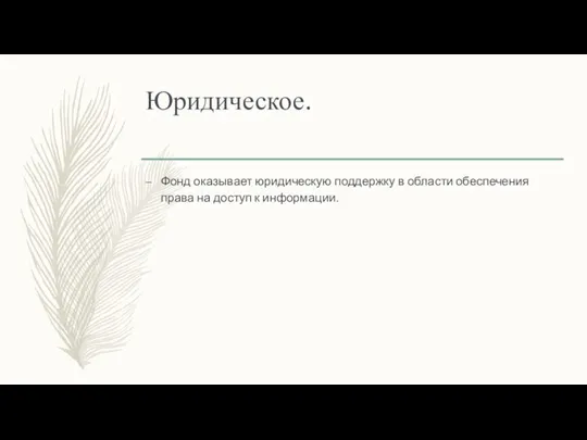 Юридическое. Фонд оказывает юридическую поддержку в области обеспечения права на доступ к информации.