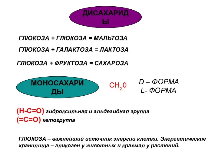 ГЛЮКОЗА + ГЛЮКОЗА = МАЛЬТОЗА ГЛЮКОЗА + ГАЛАКТОЗА = ЛАКТОЗА ГЛЮКОЗА