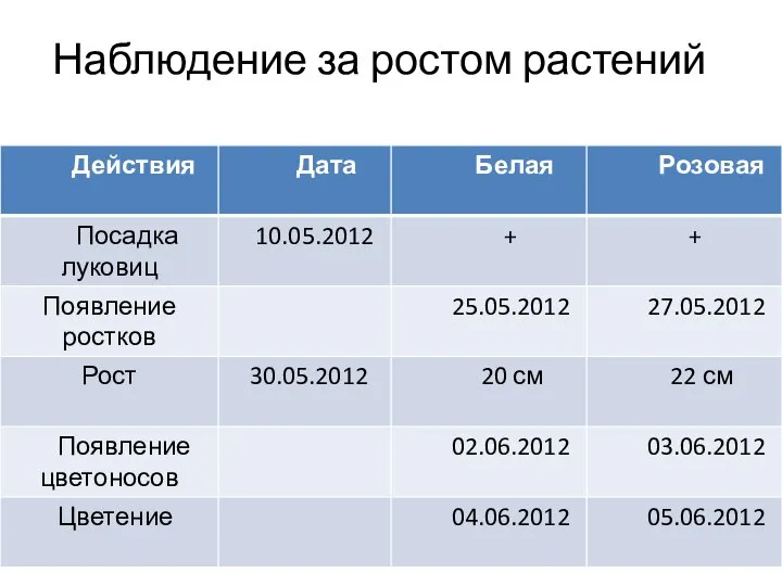 Наблюдение за ростом растений