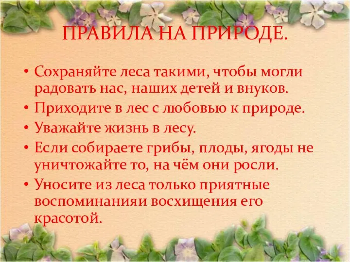 ПРАВИЛА НА ПРИРОДЕ. Сохраняйте леса такими, чтобы могли радовать нас, наших