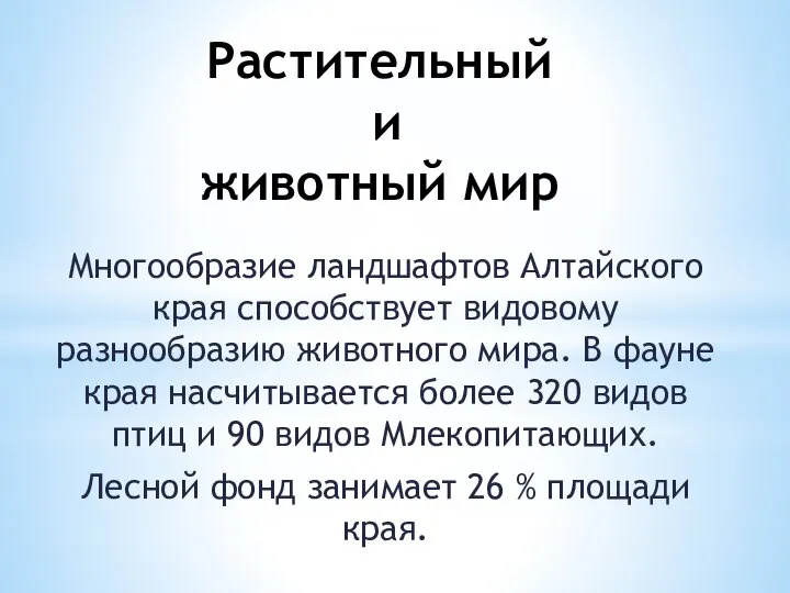 Растительный и животный мир Многообразие ландшафтов Алтайского края способствует видовому разнообразию