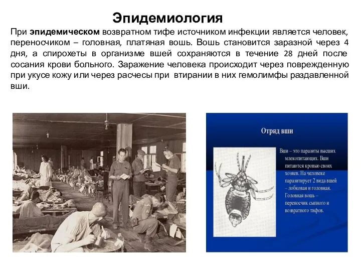 Эпидемиология При эпидемическом возвратном тифе источником инфекции является человек, переносчиком –