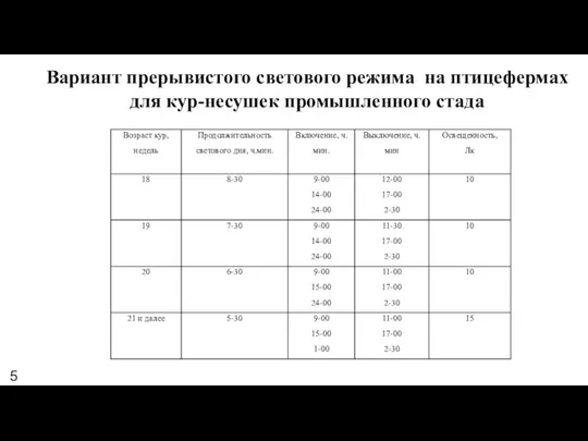 Вариант прерывистого светового режима на птицефермах для кур-несушек промышленного стада