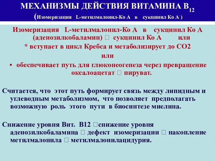 МЕХАНИЗМЫ ДЕЙСТВИЯ ВИТАМИНА В12 (Изомеризация L-метилмалонил-Ко А в сукцинил Ко А