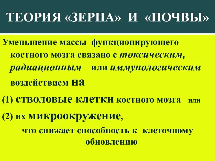 ТЕОРИЯ «ЗЕРНА» И «ПОЧВЫ» Уменьшение массы функционирующего костного мозга связано с