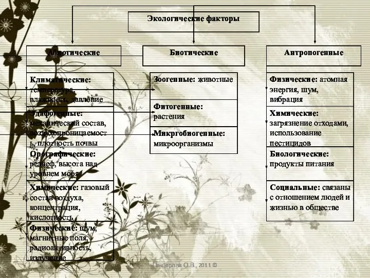 Пещерова О.В., 2011 ©