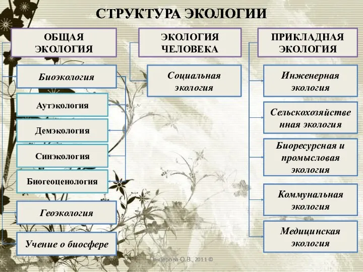 СТРУКТУРА ЭКОЛОГИИ Пещерова О.В., 2011 © ОБЩАЯ ЭКОЛОГИЯ ЭКОЛОГИЯ ЧЕЛОВЕКА ПРИКЛАДНАЯ