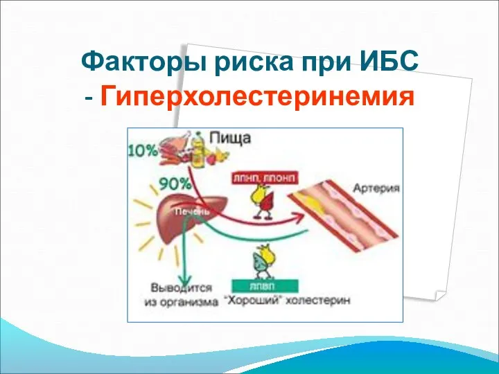 Факторы риска при ИБС - Гиперхолестеринемия