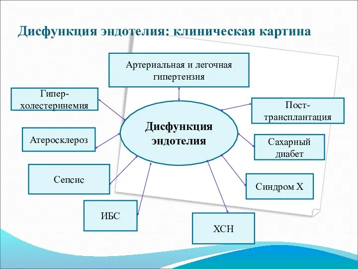 Дисфункция эндотелия: клиническая картина Дисфункция эндотелия Пост- трансплантация Сахарный диабет Синдром