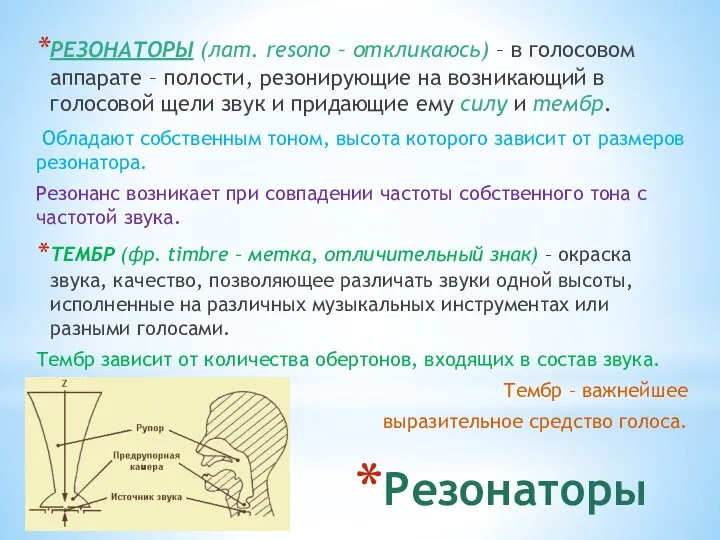 Резонаторы РЕЗОНАТОРЫ (лат. resono – откликаюсь) – в голосовом аппарате –