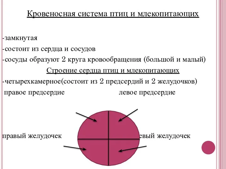 Кровеносная система птиц и млекопитающих -замкнутая -состоит из сердца и сосудов