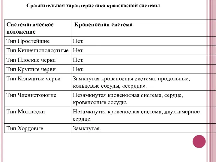 Сравнительная характеристика кровеносной системы