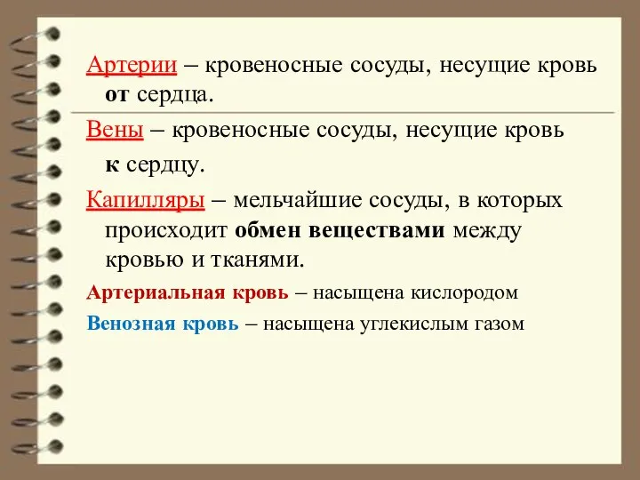 Артерии – кровеносные сосуды, несущие кровь от сердца. Вены – кровеносные