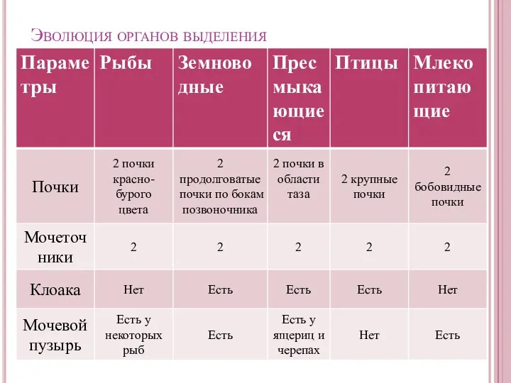 Эволюция органов выделения