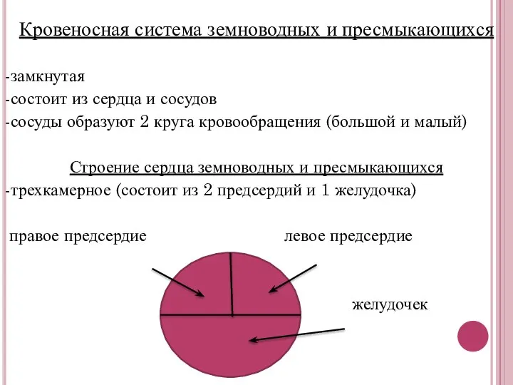 Кровеносная система земноводных и пресмыкающихся -замкнутая -состоит из сердца и сосудов