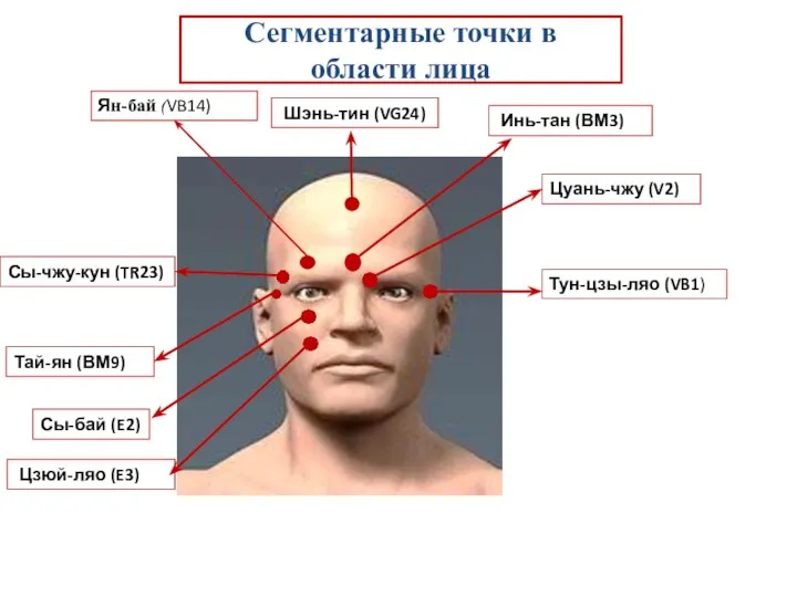 Сегментарные точки в области лица Сы-чжу-кун (TR23) Шэнь-тин (VG24) Инь-тан (ВМ3)