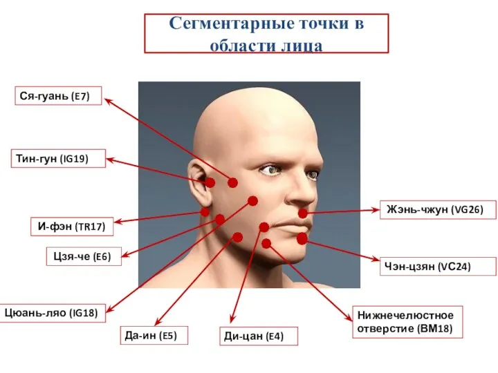 Сегментарные точки в области лица