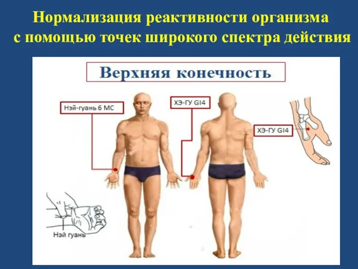 Нормализация реактивности организма с помощью точек широкого спектра действия