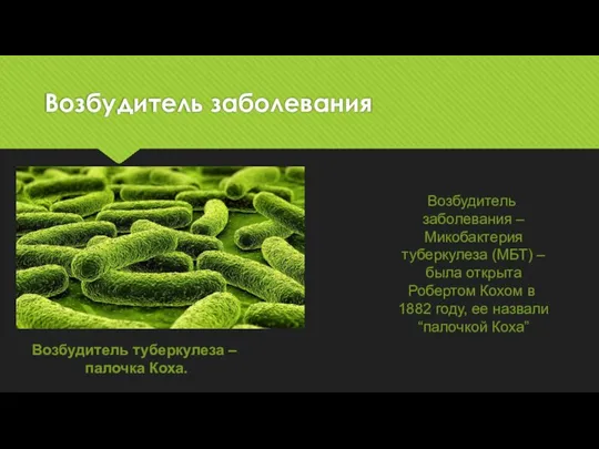 Возбудитель заболевания Возбудитель туберкулеза – палочка Коха. Возбудитель заболевания – Микобактерия